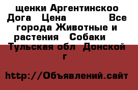 щенки Аргентинскоо Дога › Цена ­ 25 000 - Все города Животные и растения » Собаки   . Тульская обл.,Донской г.